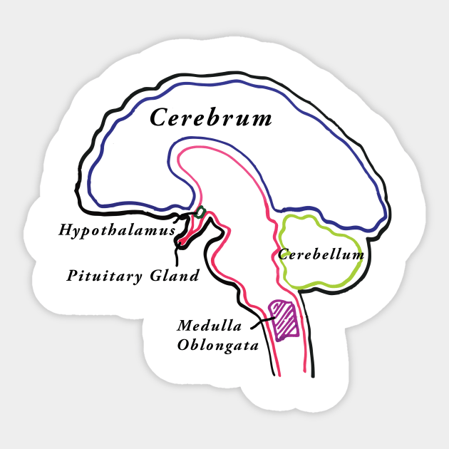 BRAIN BRAIN BRAIN Sticker by zoebrittle